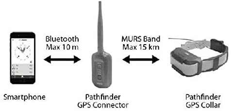 portee dogtra pathfinder