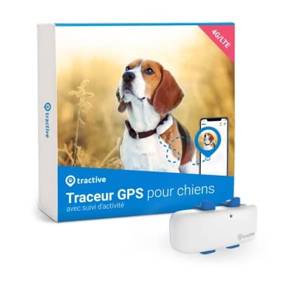 Test & Avis] Weenect XS : le meilleur GPS pour chien ?